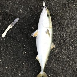 ジクパラバイブマキマキ