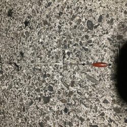 サイズ期待するも。。