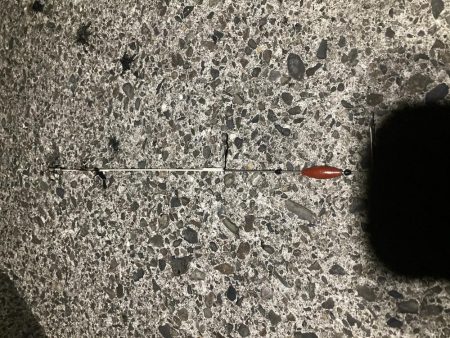 サイズ期待するも。。