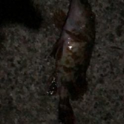 比較的暖かい日