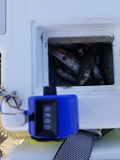 今年最後の釣行！