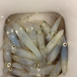 雨降りヒイカゲーム