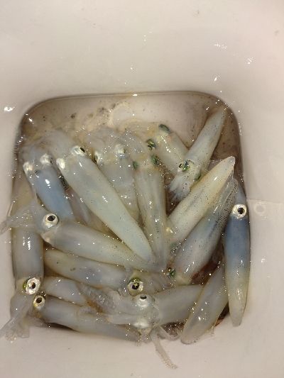 雨降りヒイカゲーム