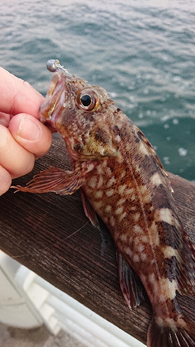 南港ガシリング