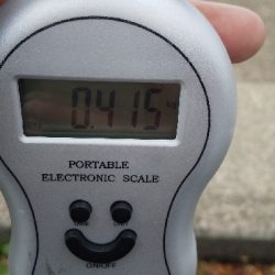 釣り納めエギング