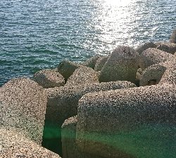 １日粘りましたが