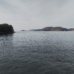 室津のキス釣り