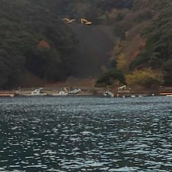 予想外の大物で締め括り