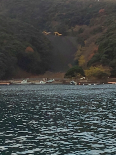 予想外の大物で締め括り