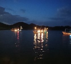 豆からアジゴなら……