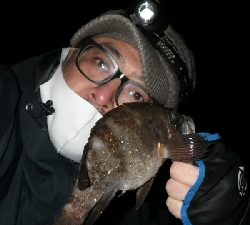 アジ?メバルは?