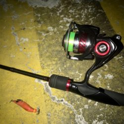 地合いは突然＼(^o^)／