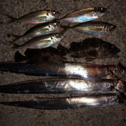 たくさんのお土産をお持ち帰りできました