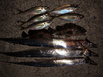 たくさんのお土産をお持ち帰りできました