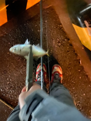 初めてのキャロ