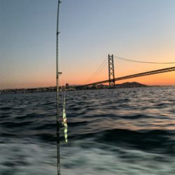 明石沖ジギング