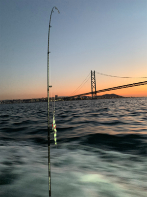 明石沖ジギング