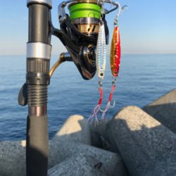 メジロ！ハマチ！2020ライトゲーム第37戦