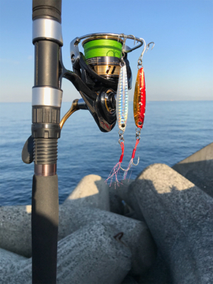 メジロ！ハマチ！2020ライトゲーム第37戦