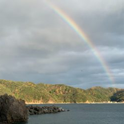 まだまだアオリイカ！