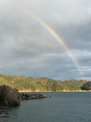 まだまだアオリイカ！