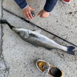 中古ルアー爆発