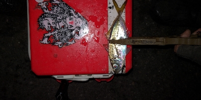 アジング練習 233