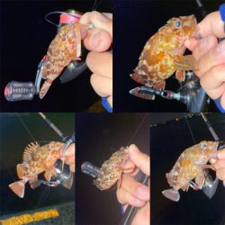 激流ポイントを攻略