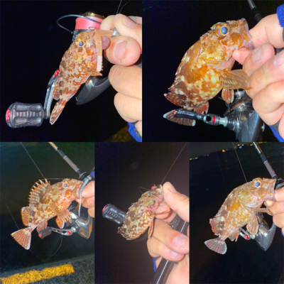 激流ポイントを攻略