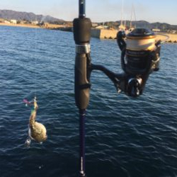 夕まずめの全集中❗️