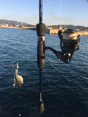 夕まずめの全集中❗️