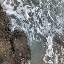 もう真冬なのに夏の魚をゲット!