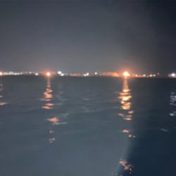 なんとかアジゲット