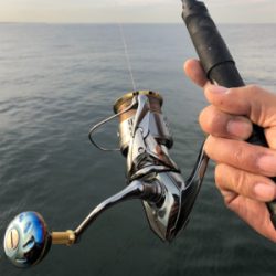 またまた武庫川一文字に