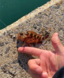 仕事帰りに唐津で釣行！