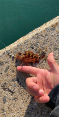 仕事帰りに唐津で釣行！