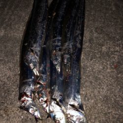 ドラゴンには出会えませんでしたが・・・