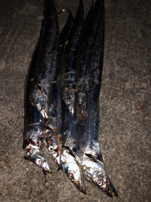 ドラゴンには出会えませんでしたが・・・