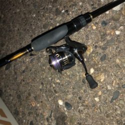 夕まずめにアジの回遊！