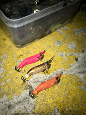 寒くてもヒイカ釣りσ(^_^;)