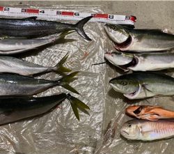 和歌山 Bigoneさんにてオフショア