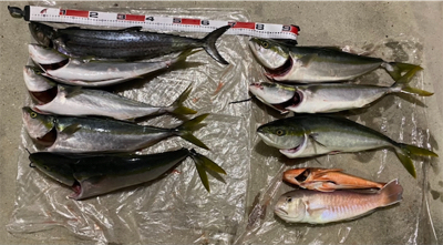 和歌山 Bigoneさんにてオフショア