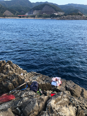 磯フカセ釣りでイサギ