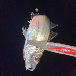 道具選びの大切さ❗️