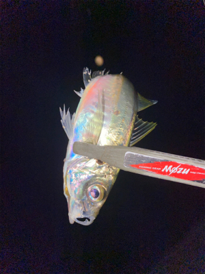 道具選びの大切さ❗️