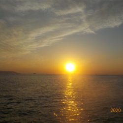 年内グレラスト釣行