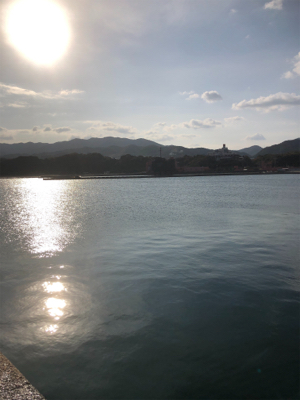 アジはいないが、イワシが乱舞！しかし、イワシとの知恵比べ。