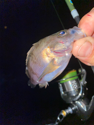 良型狙いなんとかなる