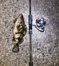 今年の釣り納めに友達と