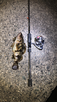 今年の釣り納めに友達と